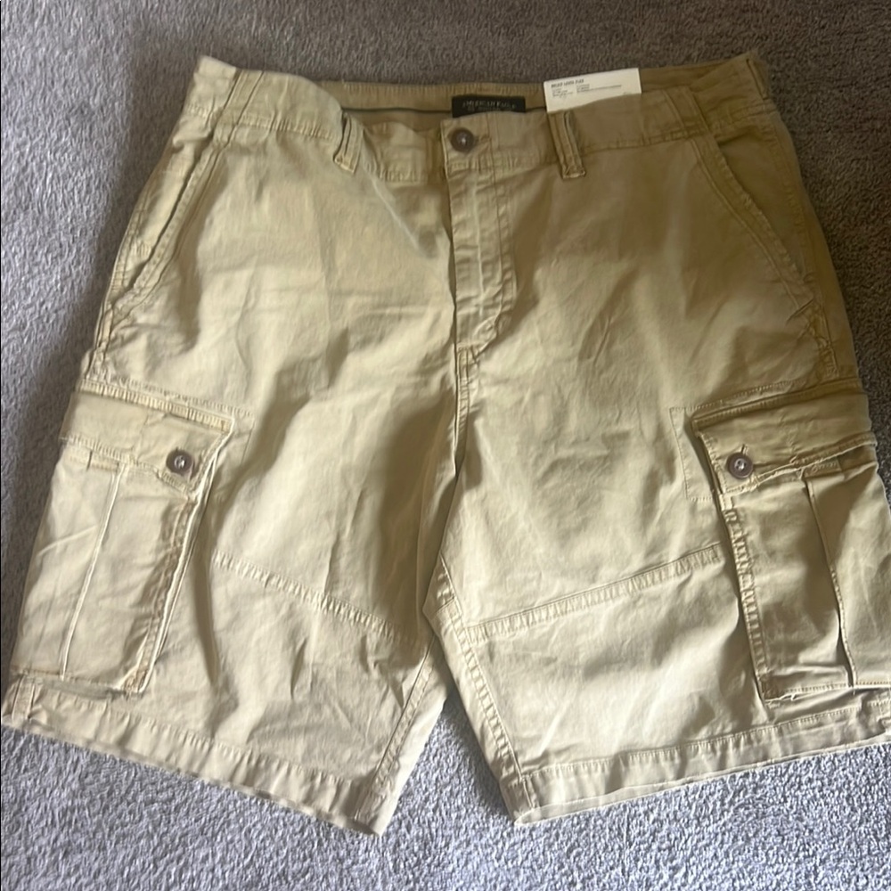 AE NE(X)T LEVEL CLASSIC CARGO SHORT 36